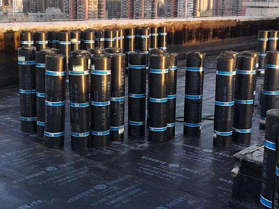 1586502520809556.jpg 67.JPG