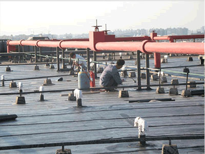 1586502999985470.jpg 100.jpg