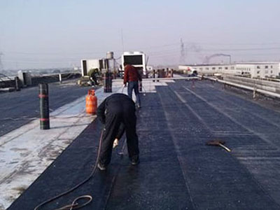 1587266821122347.jpg 86.jpg