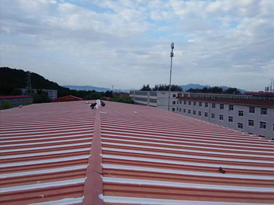 1595914811105720.jpg 19.jpg