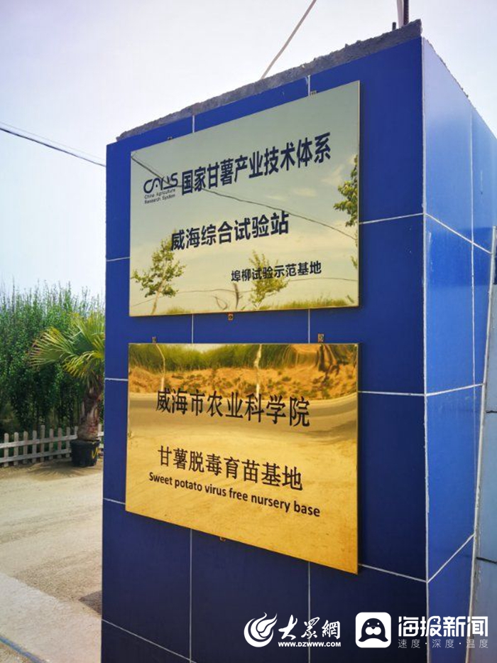 信息化賦能扶貧攻堅(jiān)，激活鄉(xiāng)村振興新引擎